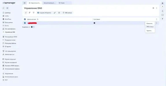 Скрин 1. Раздел "Управление DNS".